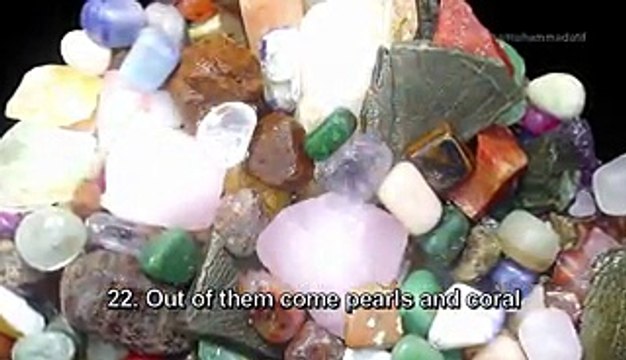 Surah Rahman - Mishary Rashid Al Afasy Quran Chappter 55 English Full HD