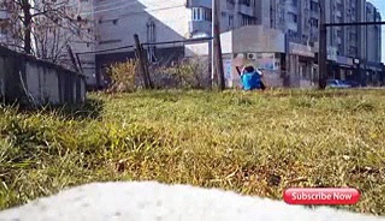 Try not to laugh or grin While Watching This! (IMPOSSIBLE) (HARDEST)