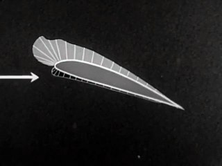Aerodynamics: Forces Acting On An Air Foil pt2-2 1941 WarDept 11min
