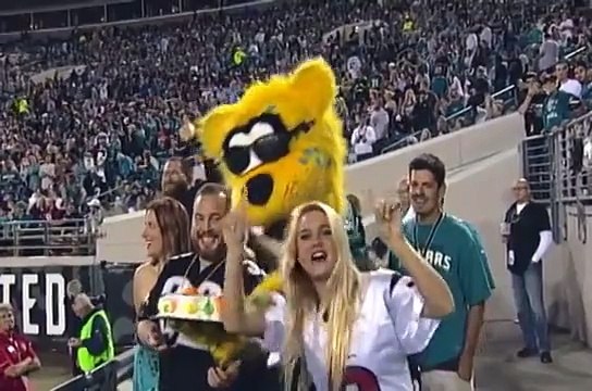 Фанатка получила тортиком в лицо