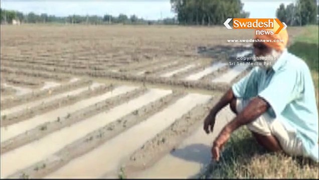 Heavy rain, hailstorms destroy crops in north India