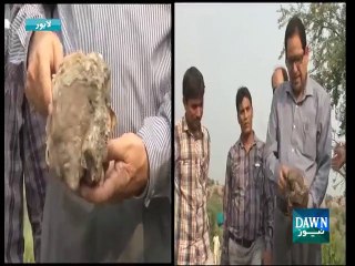 11 lakh year-old skull of female elephant found in Pakistan