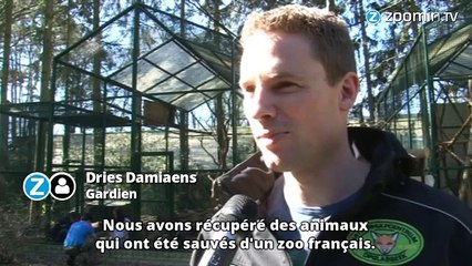 Du zoo au refuge, histoire de la bêtise humaine...