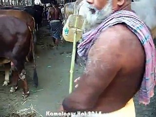 Qurbani EId In Bangladesh 2014
