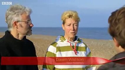 Une forêt engloutie découverte dans la mer du Nord