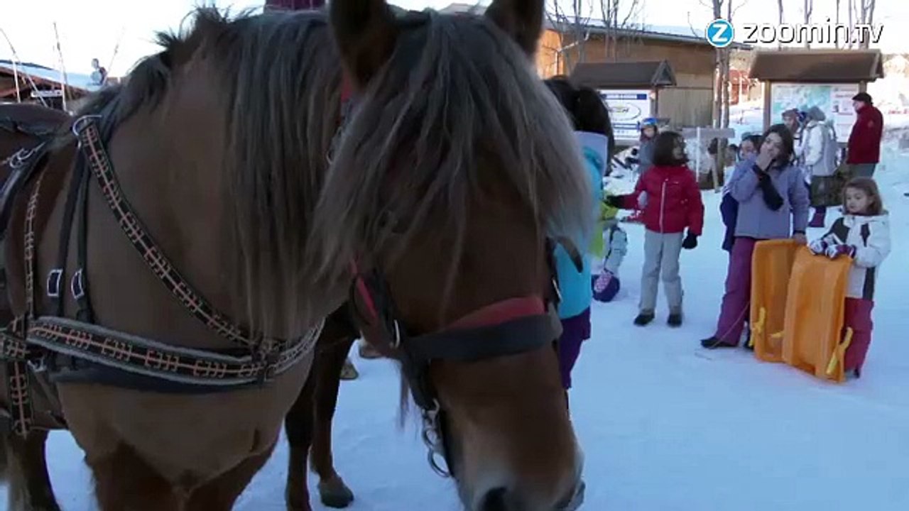Un cheval et des skis : testez le Ski Joëring !