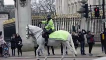Un homme nu s'évade par une fenêtre du palais de Buckingham