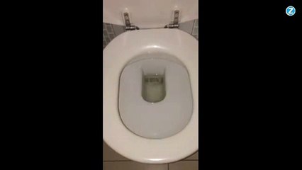 Il tire la chasse et tombe sur quelque chose d'atroce !