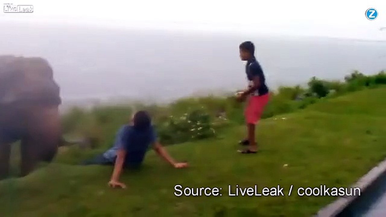 Bourré, il s'approche d'un éléphant et c'est le drame !