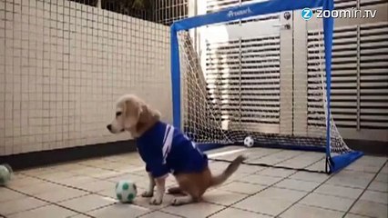 Neuer, Courtois, Casillas...On a trouvé mieux !