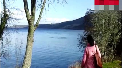 Ces touristes auraient-il filmé le monstre du Loch Ness à la surface de l'eau ?