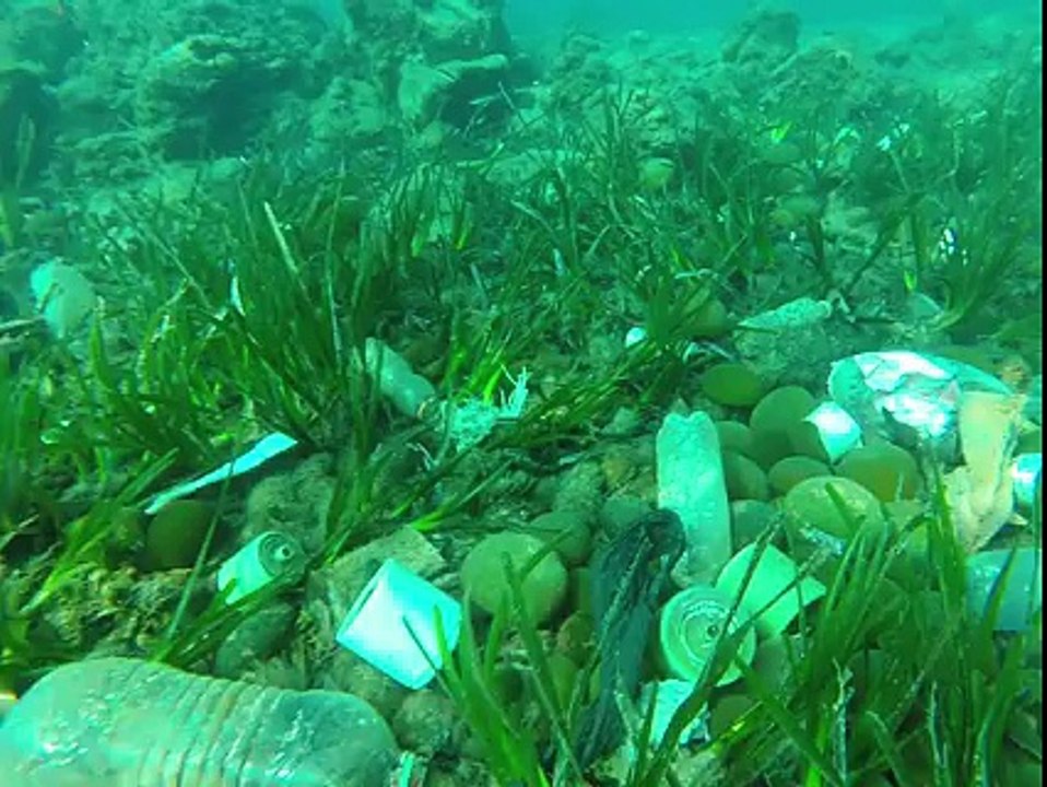 A Cannes, il filme les fonds marins... une vraie poubelle !