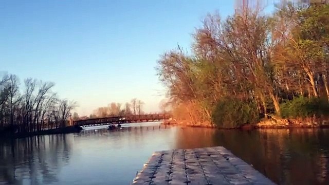 Des rameurs se font attaquer par des carpes géantes