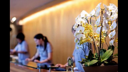 Hotel Social Media Marketing