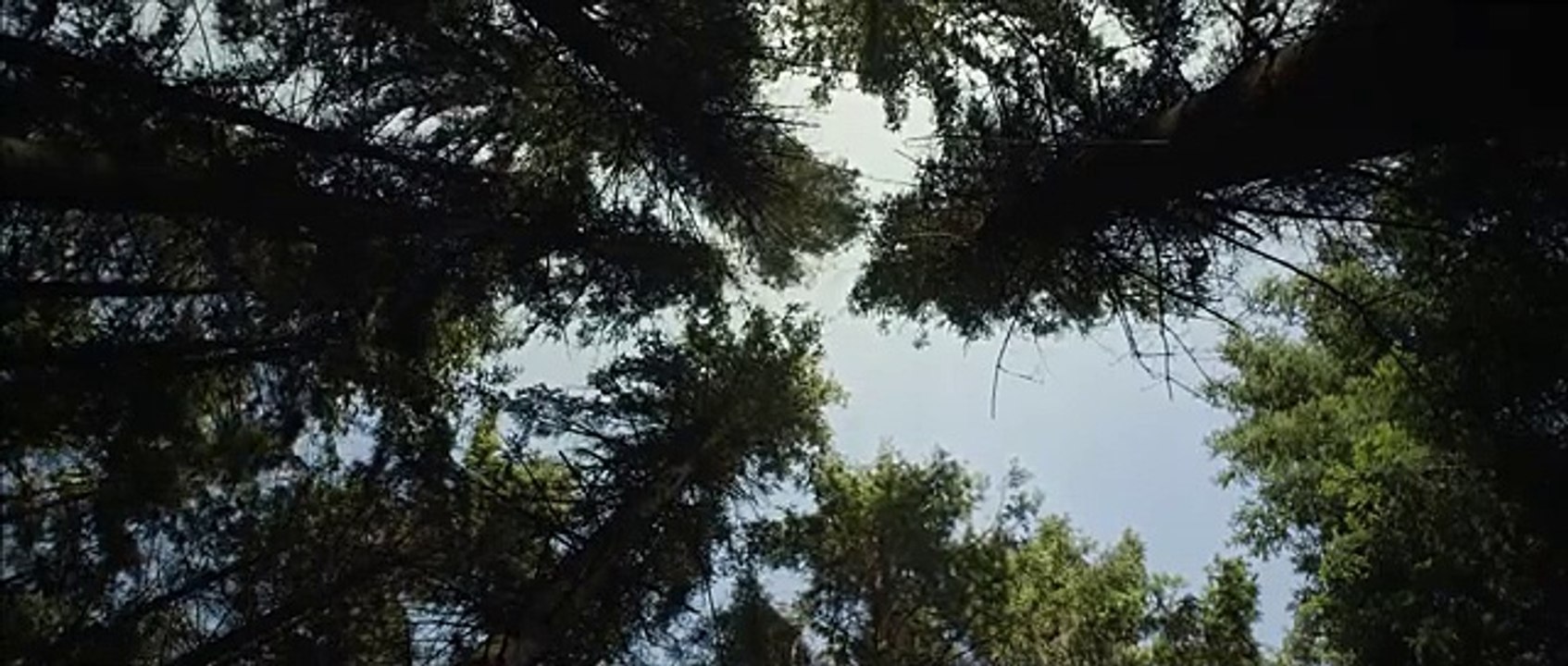Besoin de détente ? Voici le film le plus relaxant du monde