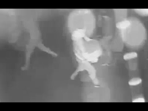 Modena - Sgominata la banda del Parmigiano Reggiano (24.09.15)