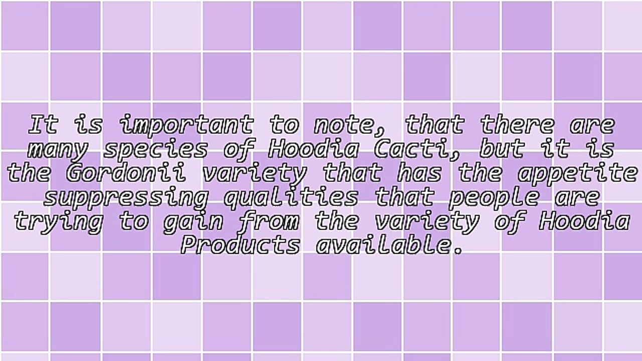 Everything You Need To Know About The Hoodia Gordonii Reviews