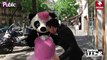 Exclu Vidéo : Jordan De Luxe : il veut faire épiler son panda !