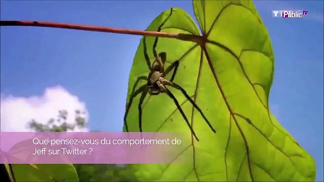 Exclu Vidéo : Cédric et Alban (Koh-Lanta Johor) : On a un côté très sado-maso et qu'une envie, c'est d'y retourner !