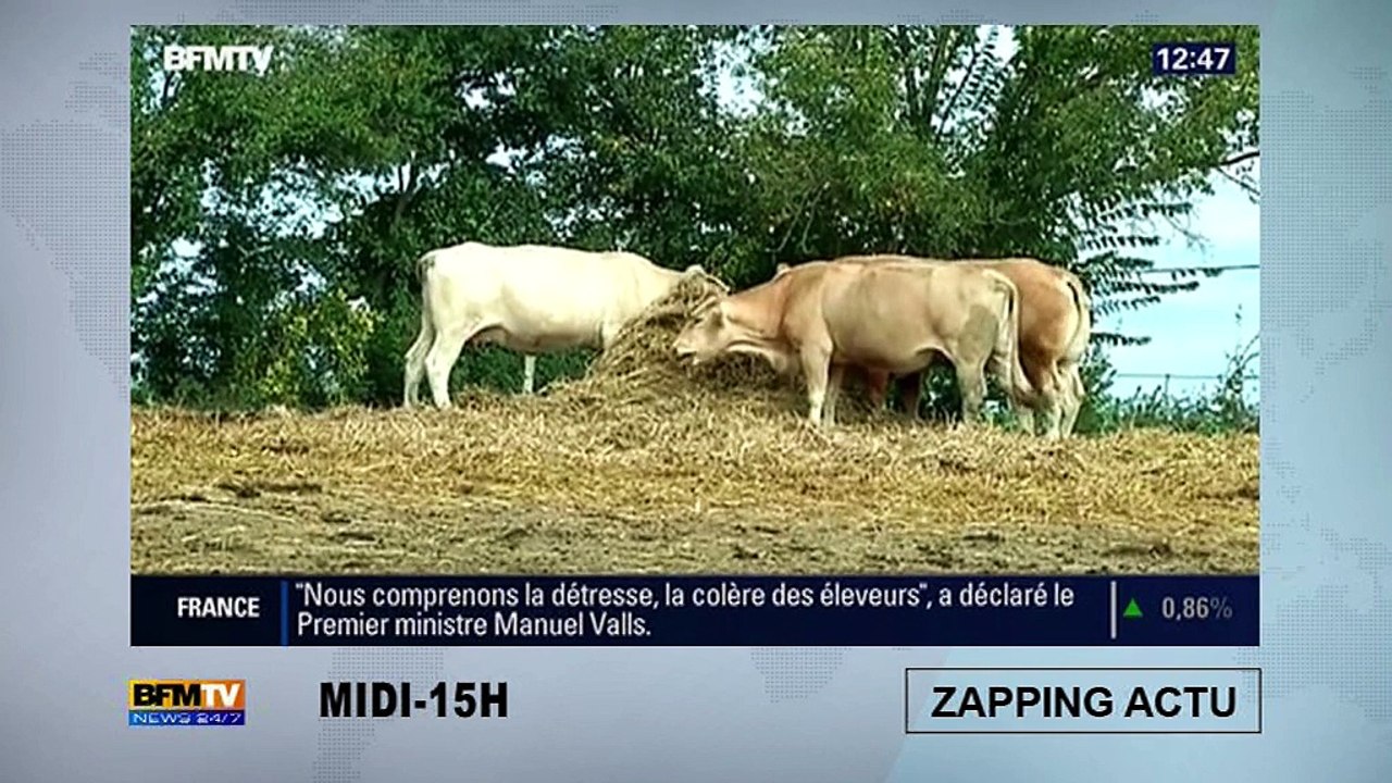 Turquie : les images choc de l'attentat-suicide meurtrier à la frontière syrienne