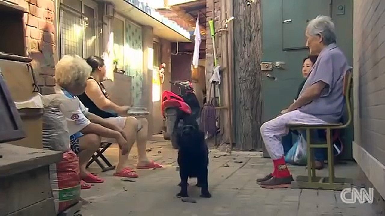 Choc : un policier récupère un bébé jeté dans les toilettes !