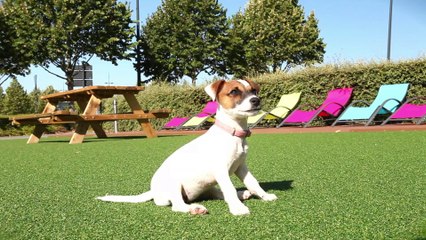 Bienvenue aux nouveaux habitants de Sénart