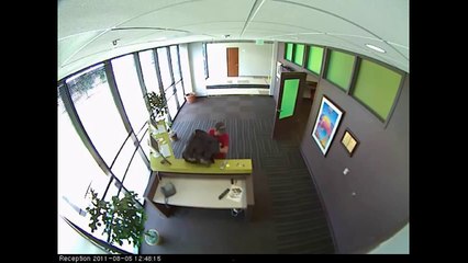 Pizza Delivery Fail Compilation