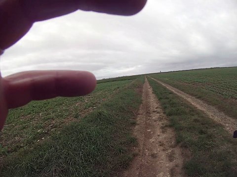 chasse doublé de perdreaux gris