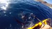 Un pêcheur en kayak attaqué par un requin marteau