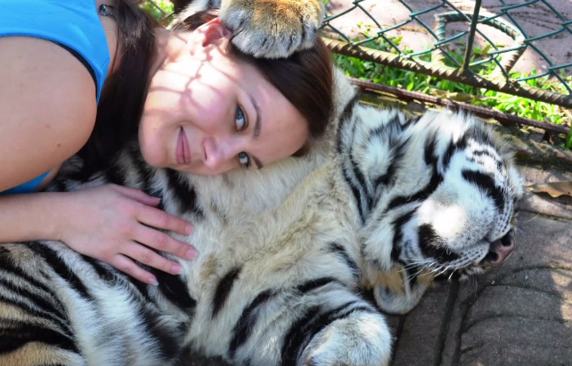 Animal Sanctuary Volunteer Charts Her Most Memorable Moments