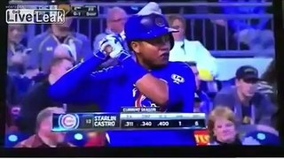 LiveLeak.com - Woman hit by foul ball through the safety net.