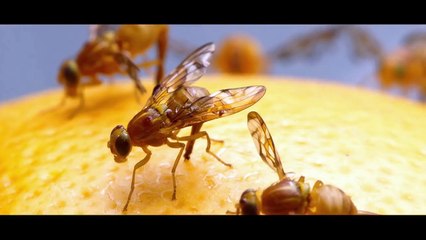 10 Amazing Details You Didn't Know About The Terminator