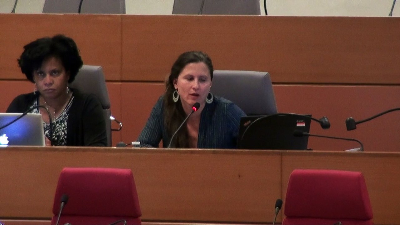 Création du GIP "Paris 2024": la Région Île-de-France renforce son soutien à la candidature parisienne!