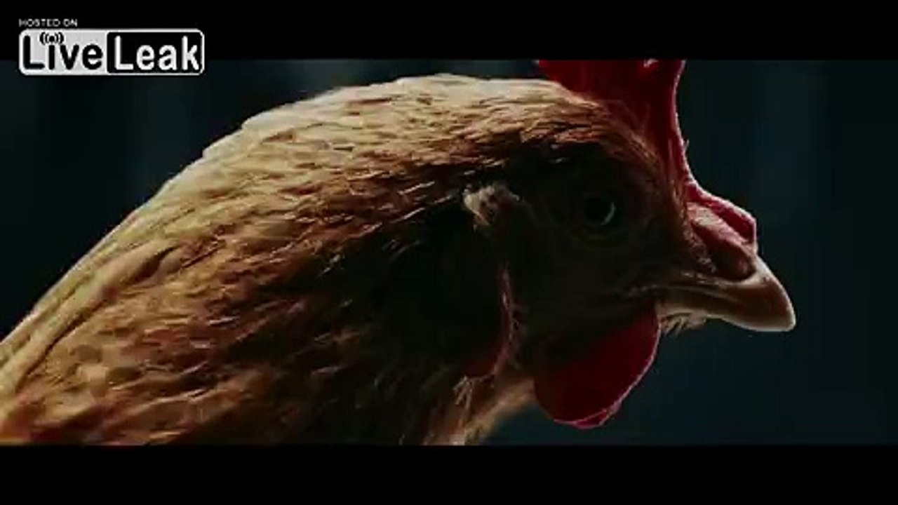 LiveLeak.com - Mercedes Vs Jaguar