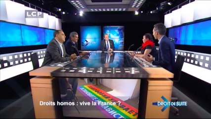 Droit de suite : Droits homos : vive la France ?