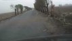 Thunder strike hits and breaks tree in front of car