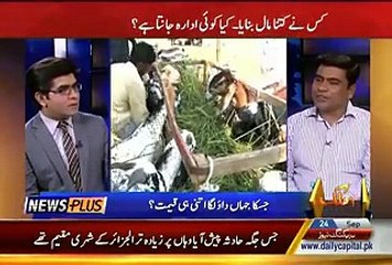 News Plus On Capital Tv – 24th September 2015