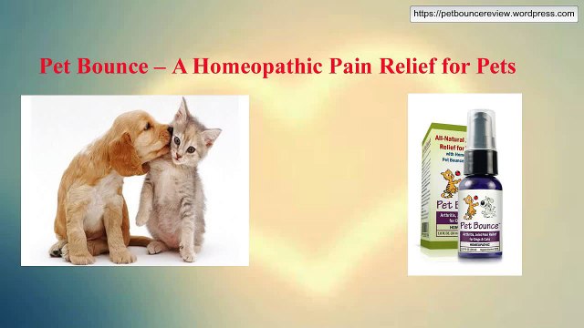 Pet Bounce – A Homeopathic Pain Relief for Pets