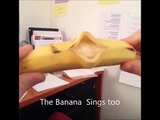 Best Vine in 1 Minute Singing Banana Funny Videos 2015 | latest funny video 2015