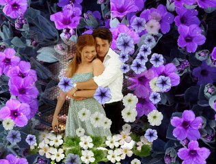 Về Lại Đồi Sim