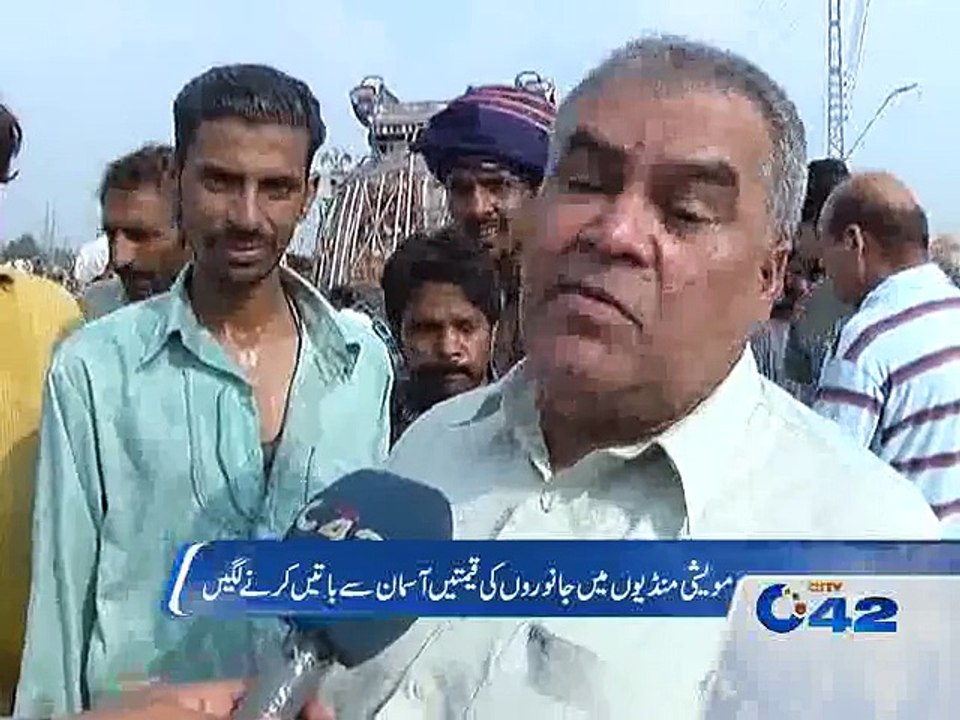 Cattle markets for Eid ul Azha