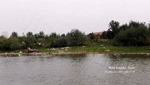 AGORA MEDIA | Bătaie de joc adusă cu calul (dar calul a plecat la un moment dat)