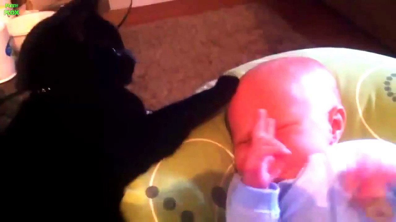 Best Babies and Animals Compilation 2013 [HD]