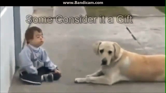 Посмотрите обязательно. ТРОГАТЕЛЬНО ДО СЛЕЗ!