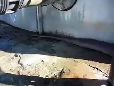 Посмотрите,умерла самая большая в мире змея ='((