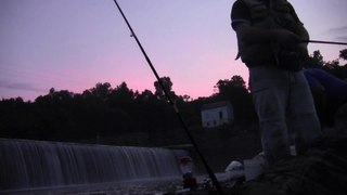 Catching catfish at Dam 5 on the Upper Potomac