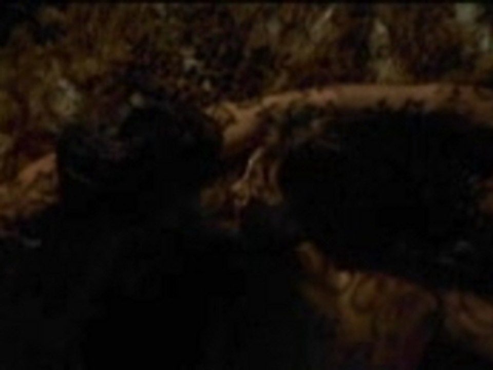 The seven death in the cat's eye