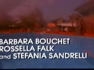 Black belly of the tarantula