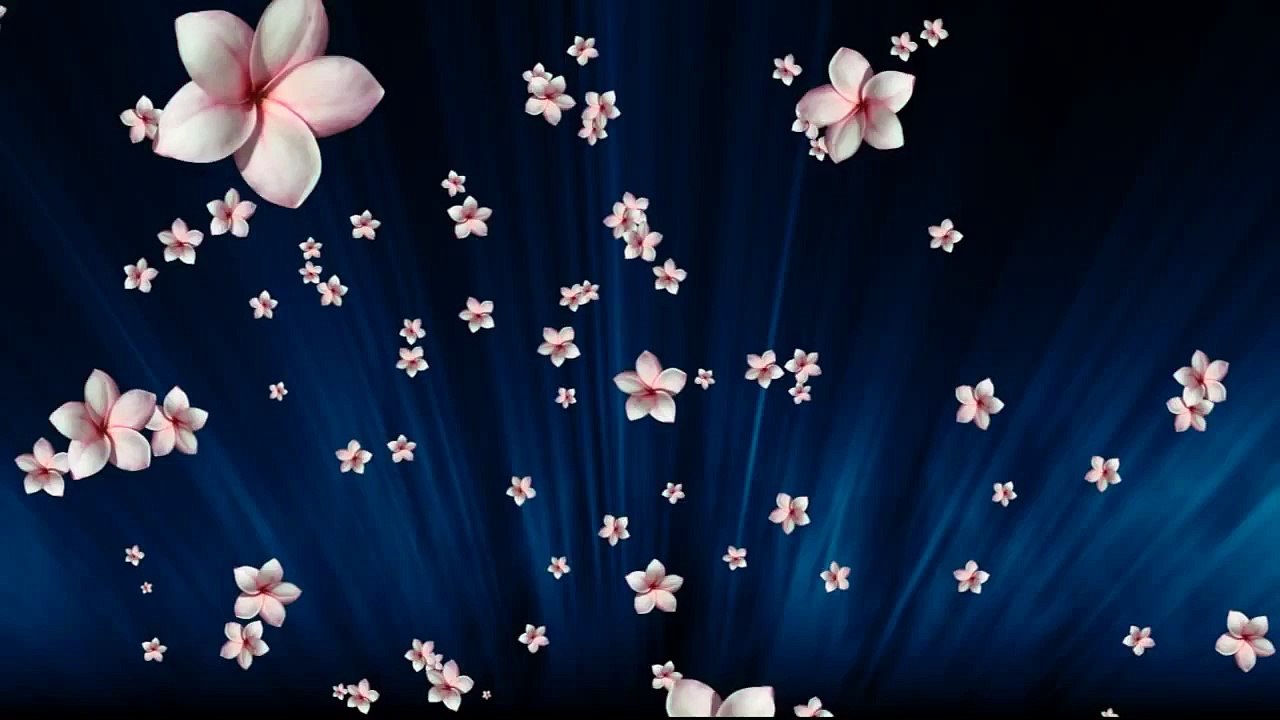Flores rosas caindo
