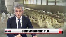 Gov't on high alert for avian influenza during Chuseok